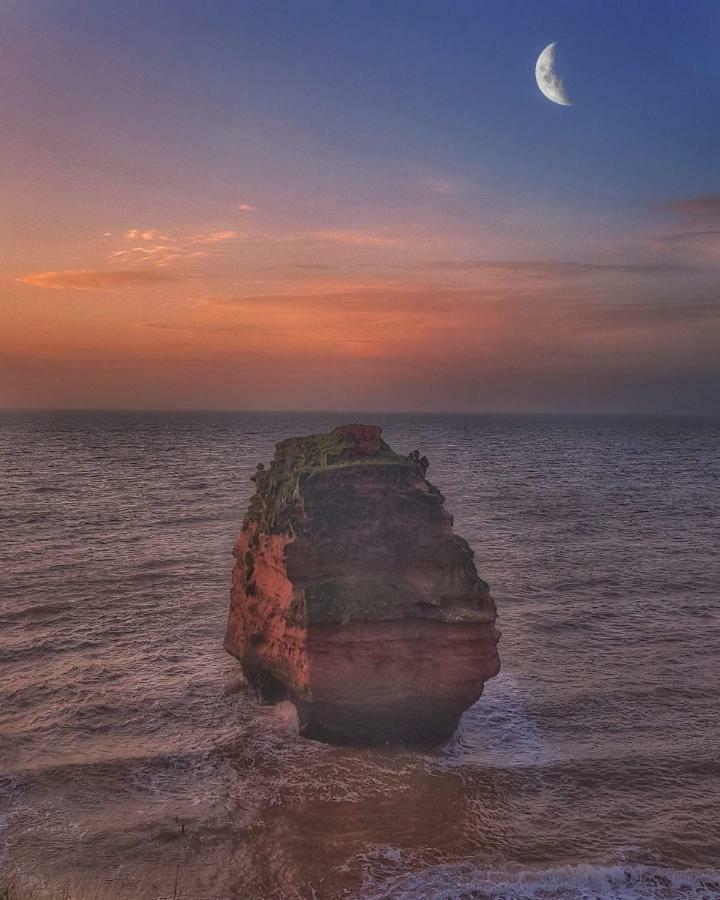 Hamilton House Villa Exmouth Dış mekan fotoğraf